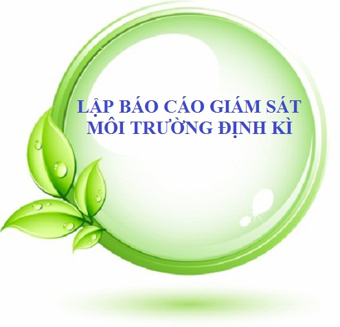 Quy trình lập báo cáo giám sát môi trường định kì